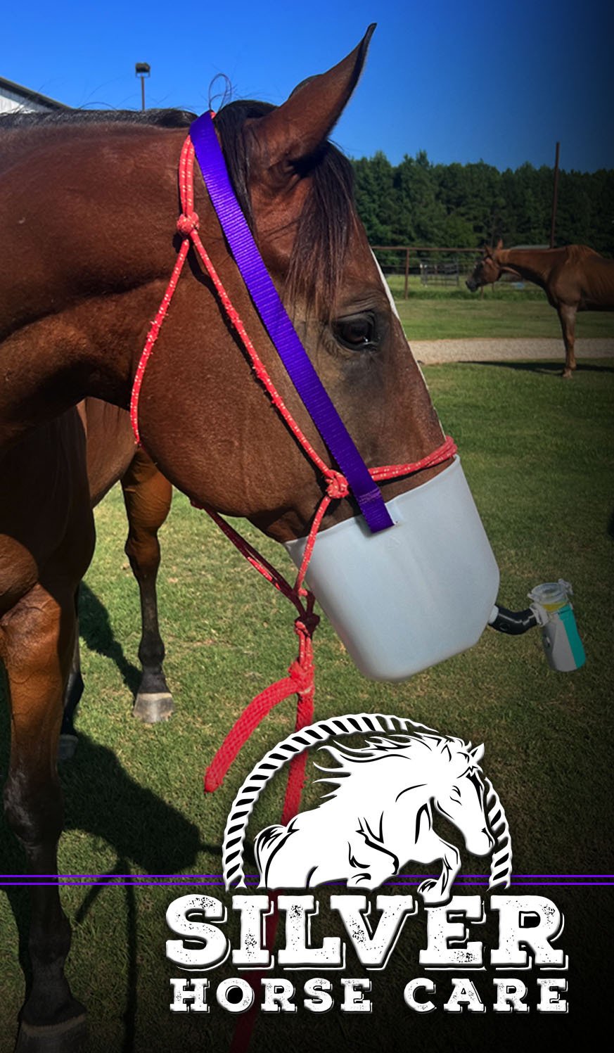 Mesh Nebulizer Kit – Lightweight