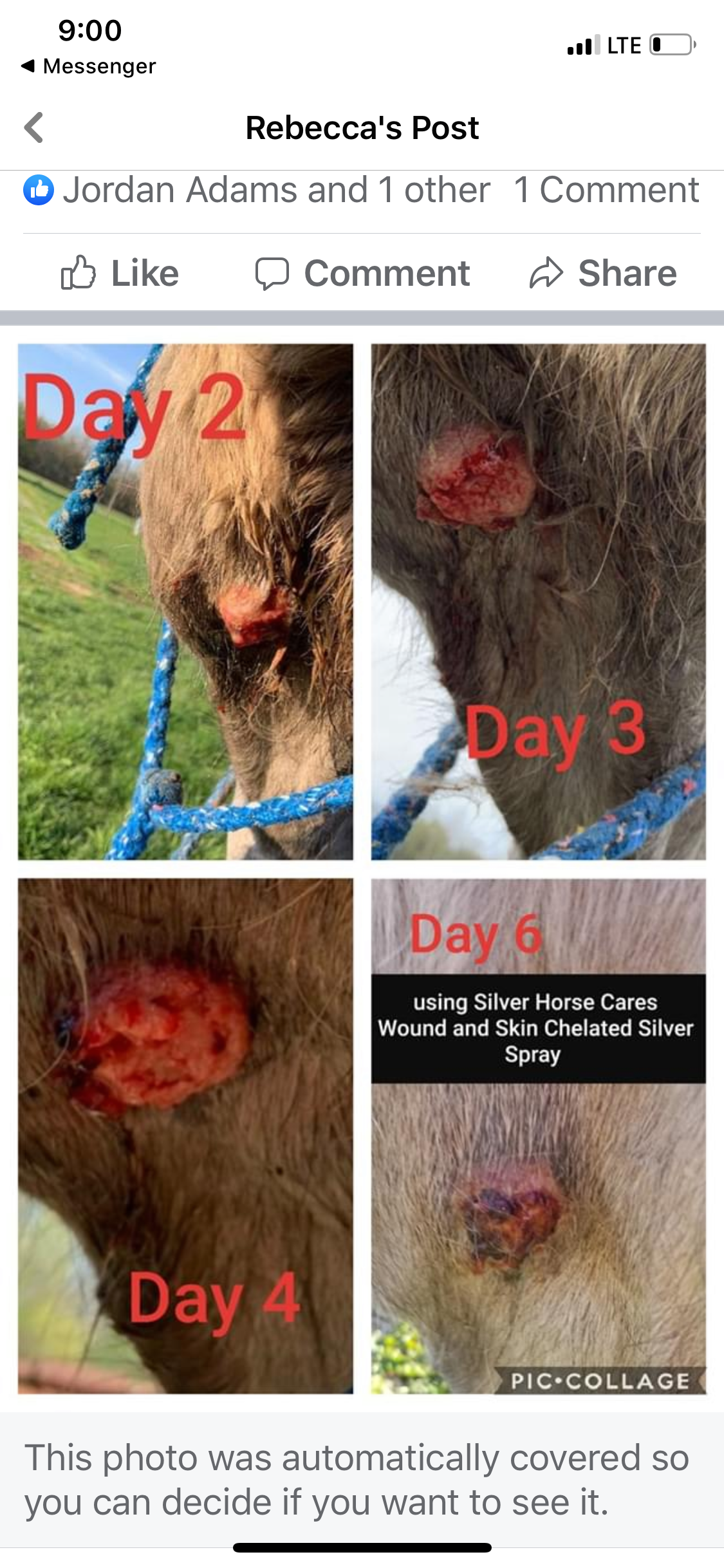 Ag Repair Spray 16oz