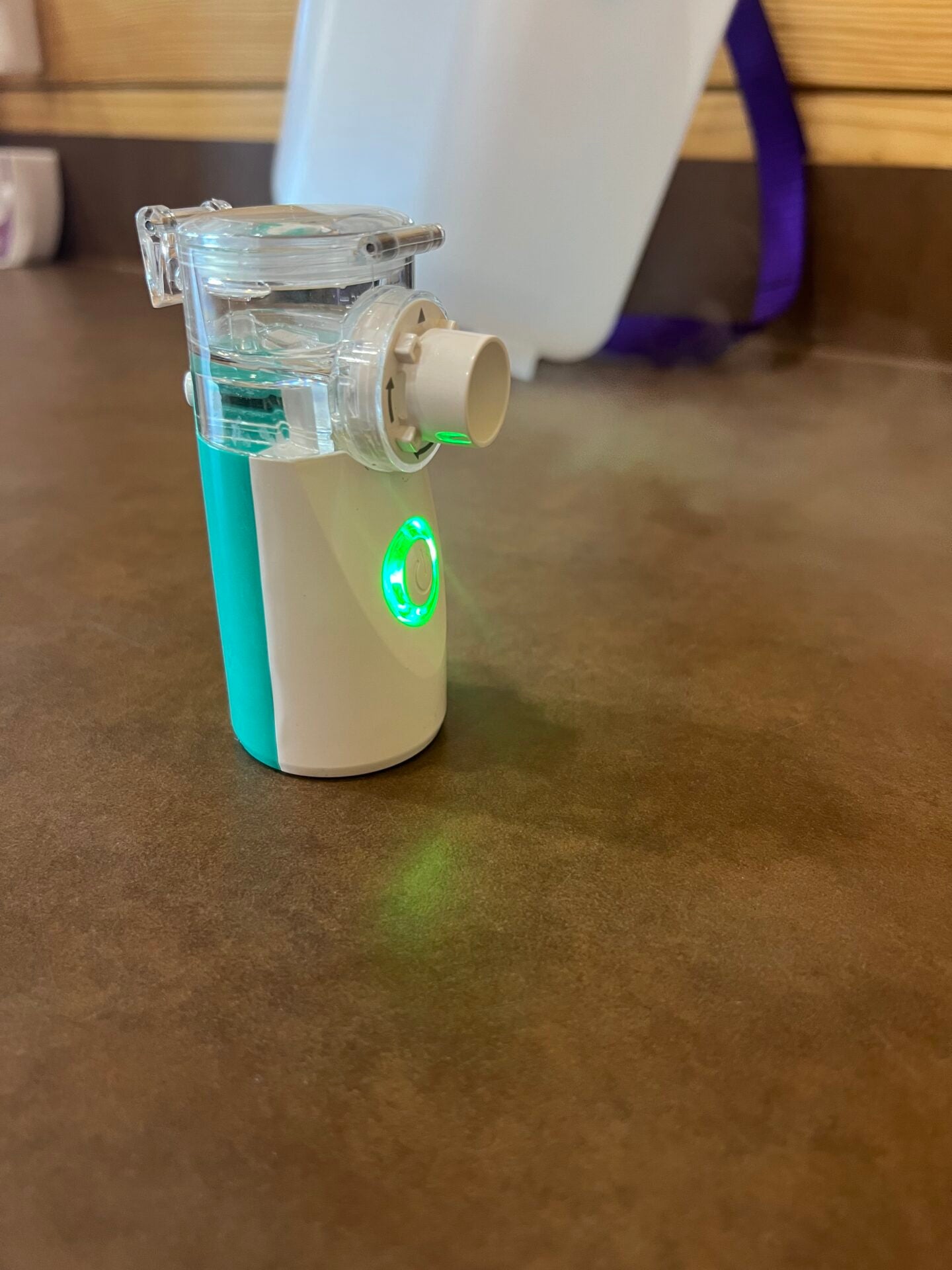 Mesh Nebulizer Horse Kit