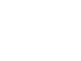 Silver Horse Care