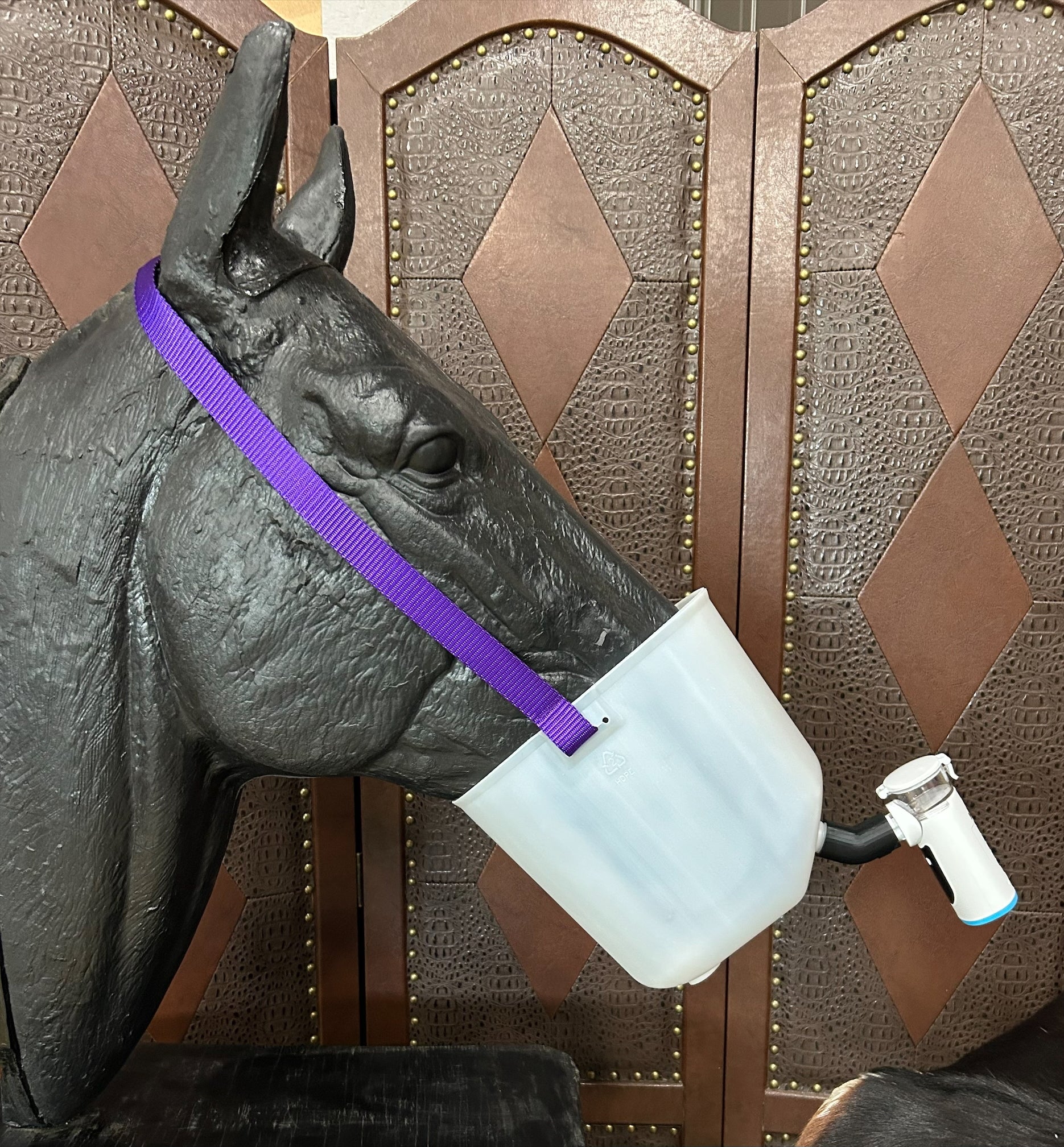 Mesh Nebulizer Horse Kit 4